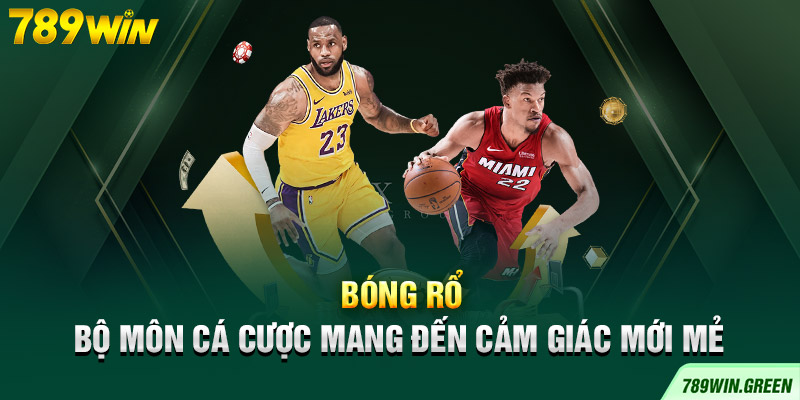 Bóng rổ - Bộ môn cá cược mang đến cảm giác mới mẻ Bóng rổ - Bộ môn cá cược mang đến cảm giác mới mẻ
