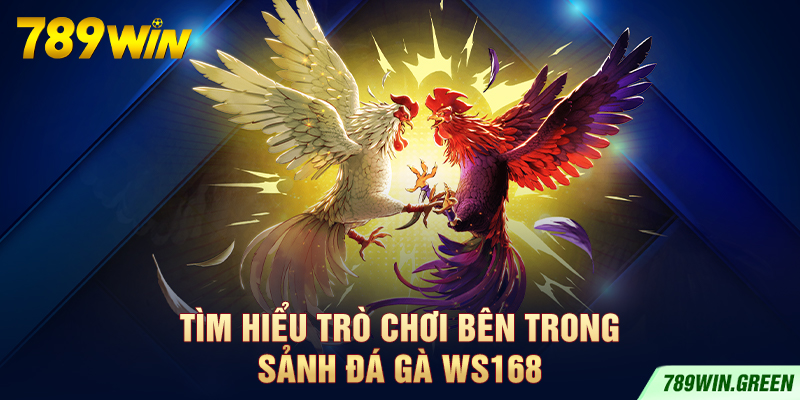 Tìm hiểu trò chơi bên trong sảnh đá gà WS168